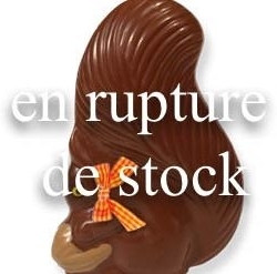  Choco Lait Écureuil 700g